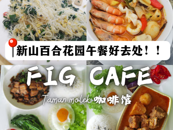 fig cafe